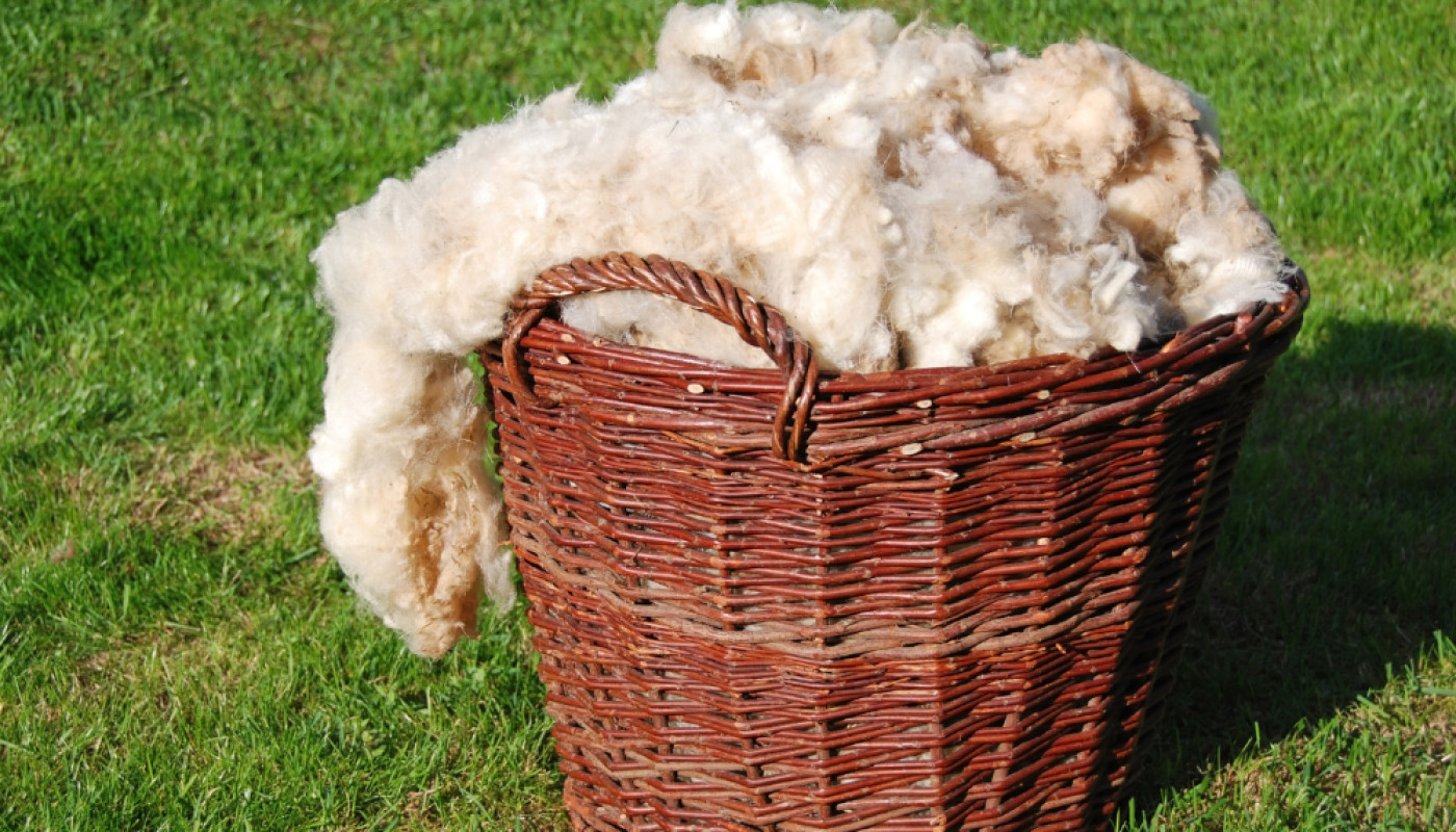 Surmatelas en laine de mouton Merinos, le choix naturel pour les dormeurs sensibles